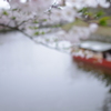 ただ春の夜の夢の如し