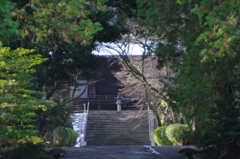 守ってくれてる