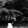 モノクロームの心