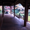寂写