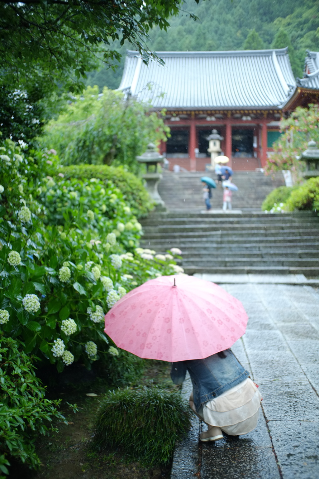 雨愛