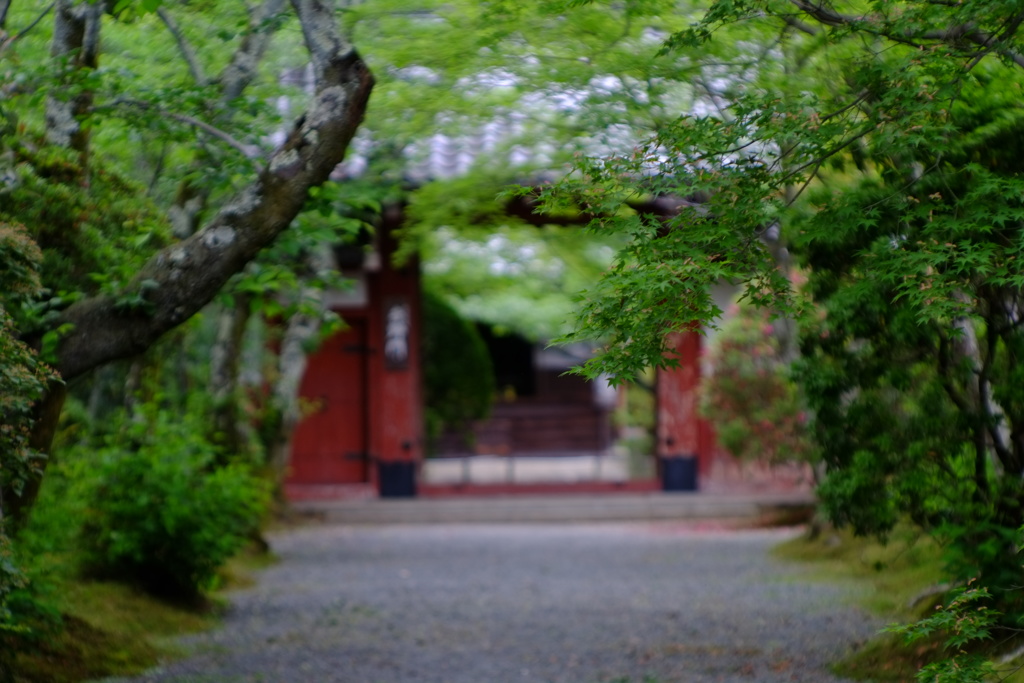 青春の門