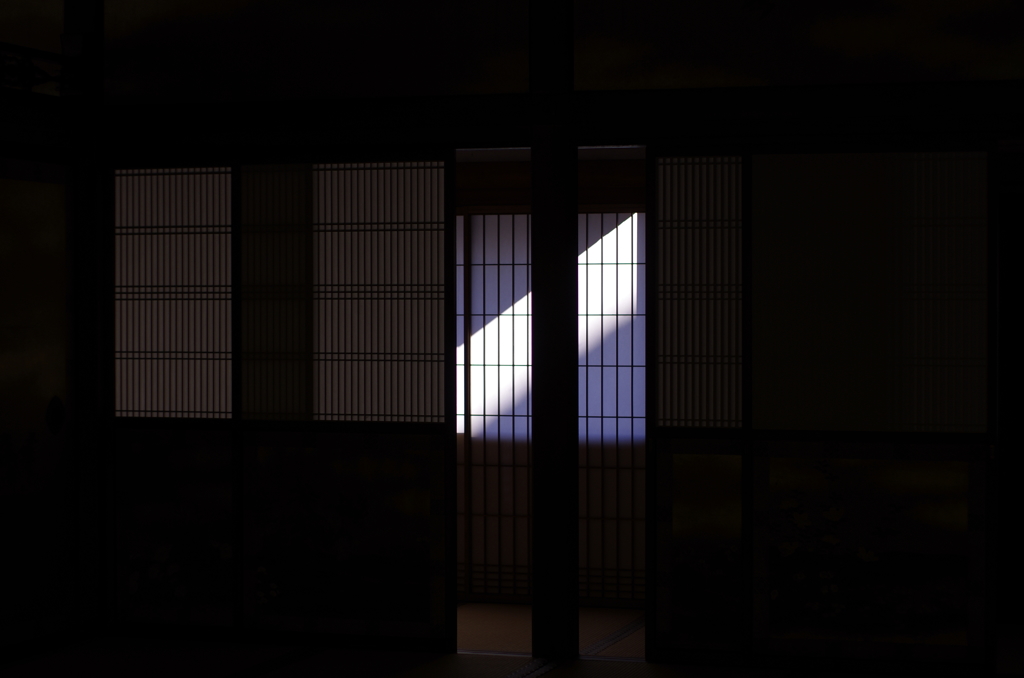写真って？