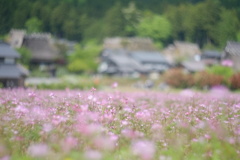 なにもかわらない