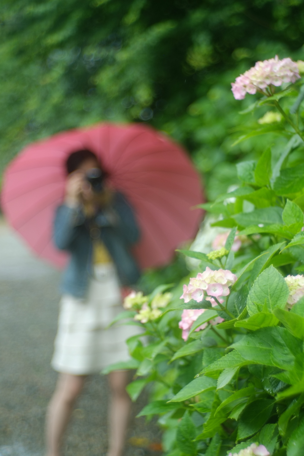 花と華