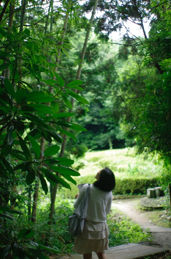 夏が来ると思い出す