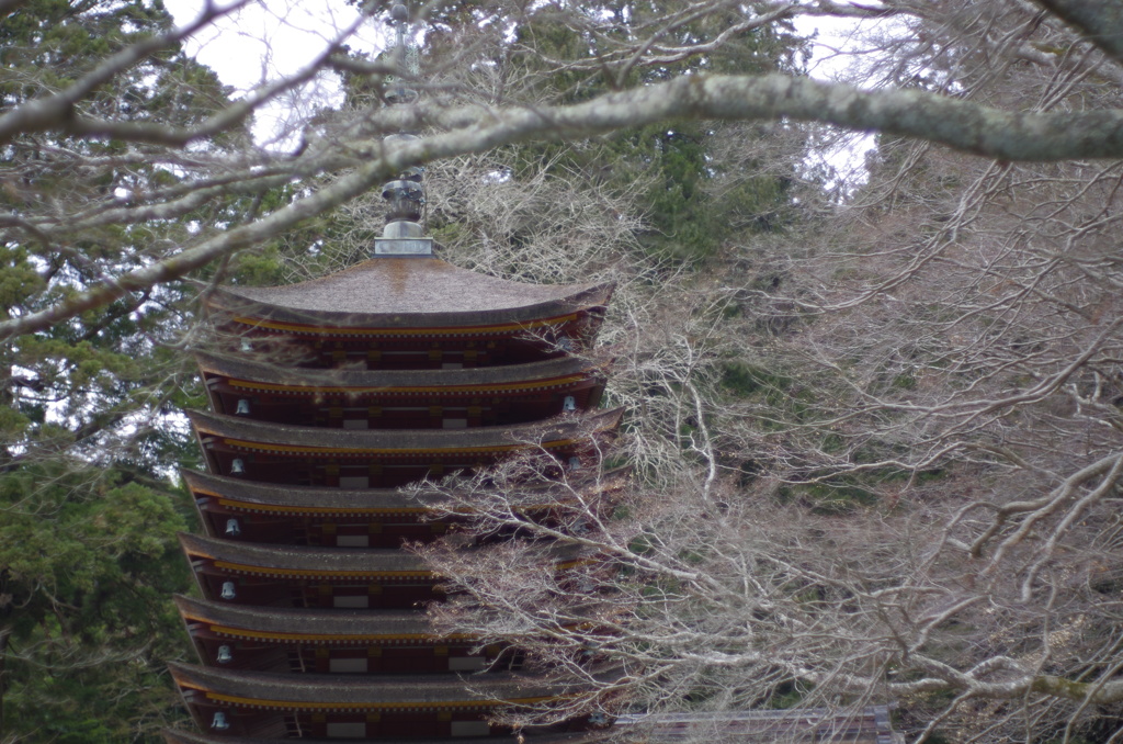 小雪が舞う