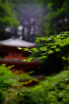 降りてくる