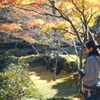 キラキラして