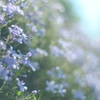 確かに君だけ