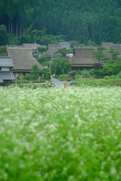 大切な人と