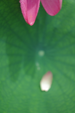 抱きたい