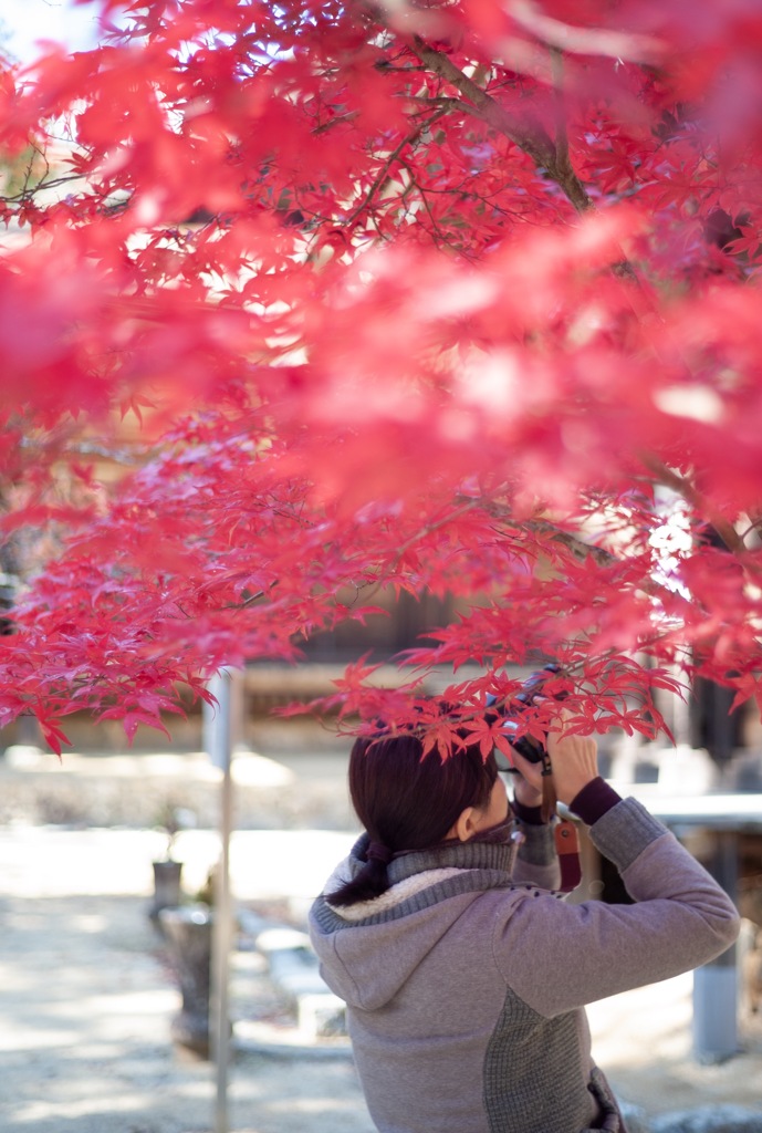 紅に塗れて