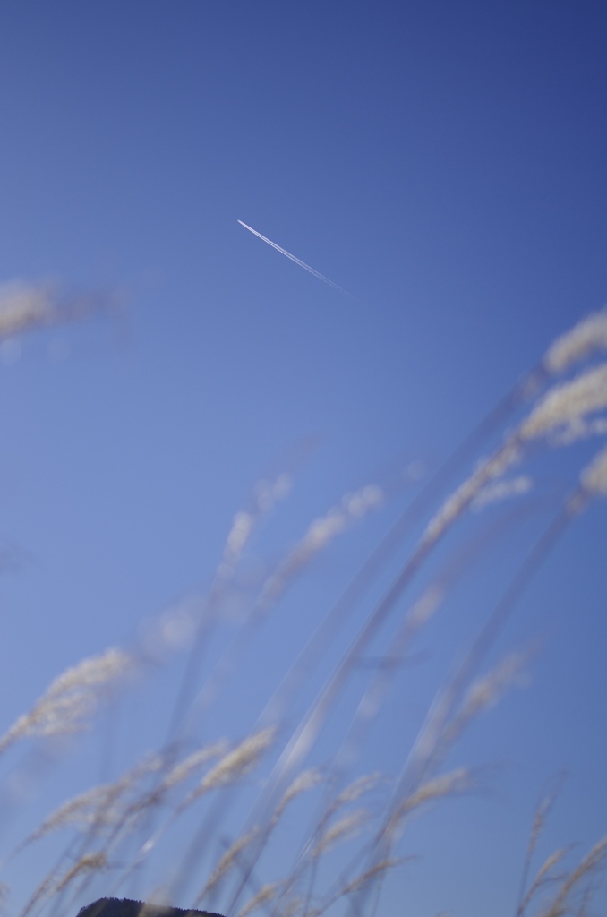 空に憧れて