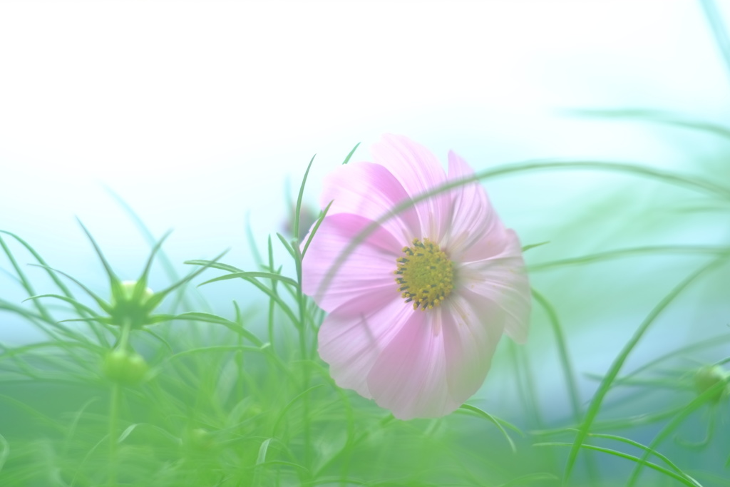 元気にしてる？