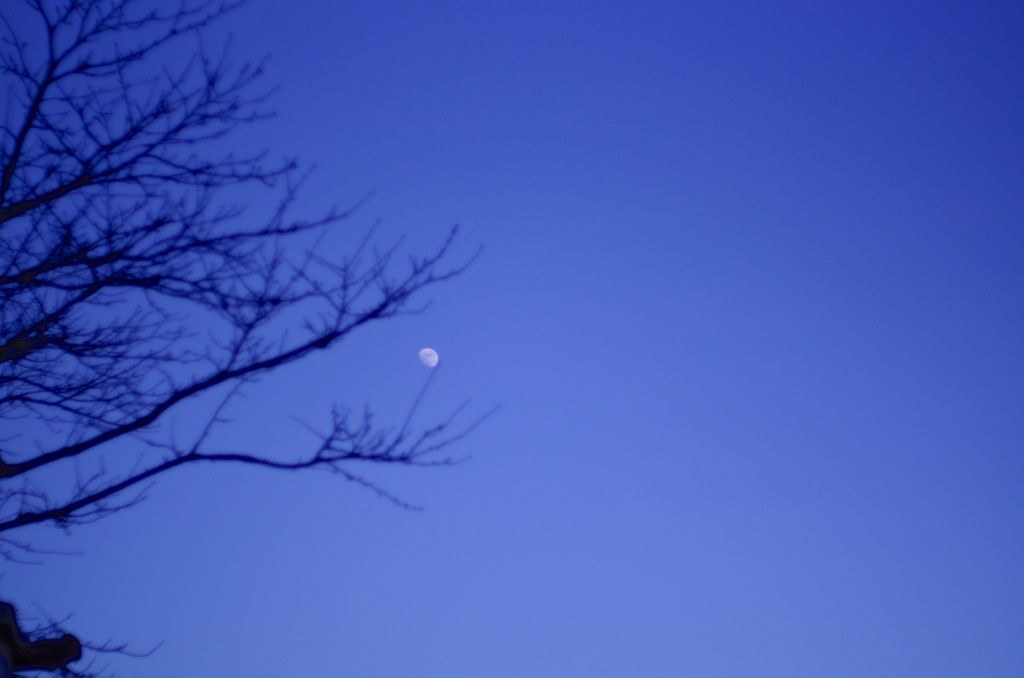 空と宙