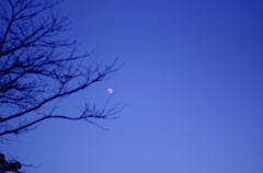 空と宙