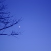 空と宙