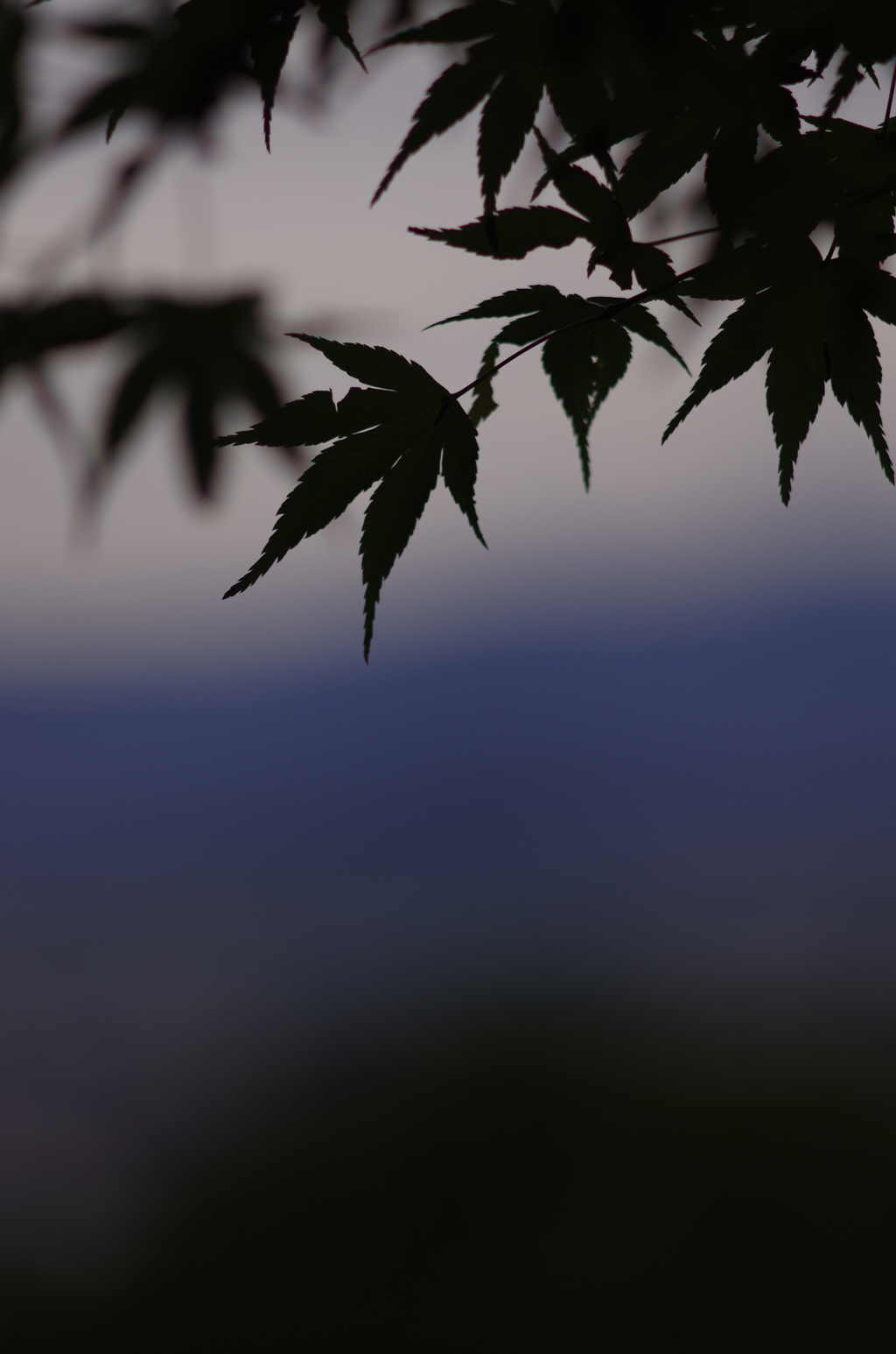 自問自答