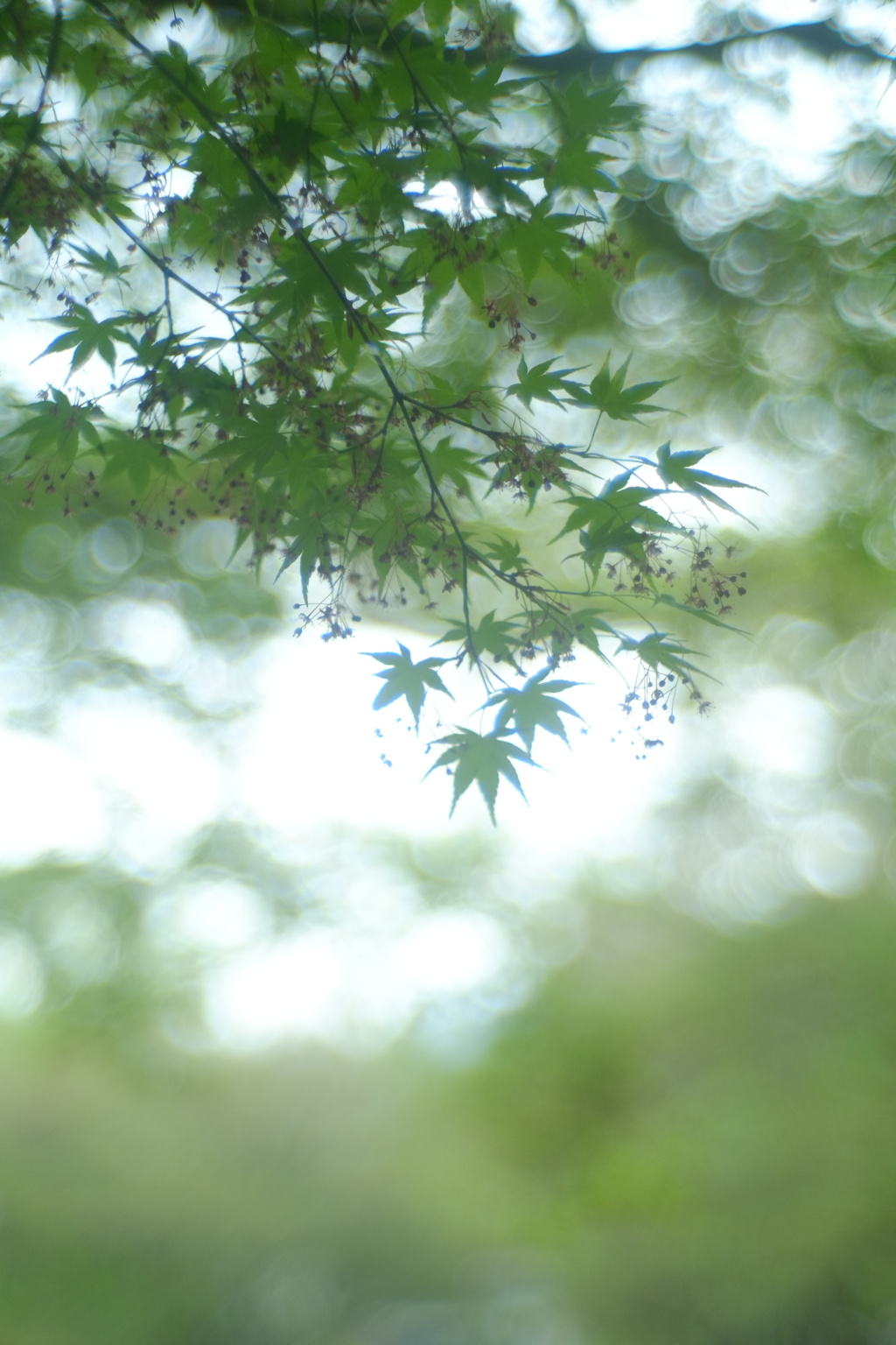 楽しいこと
