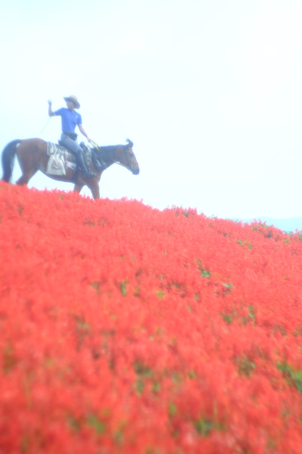 馬が合う