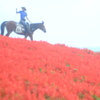 馬が合う
