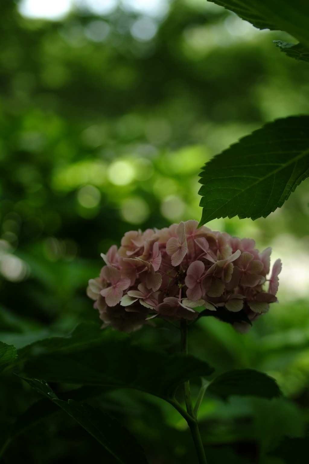 心を写す