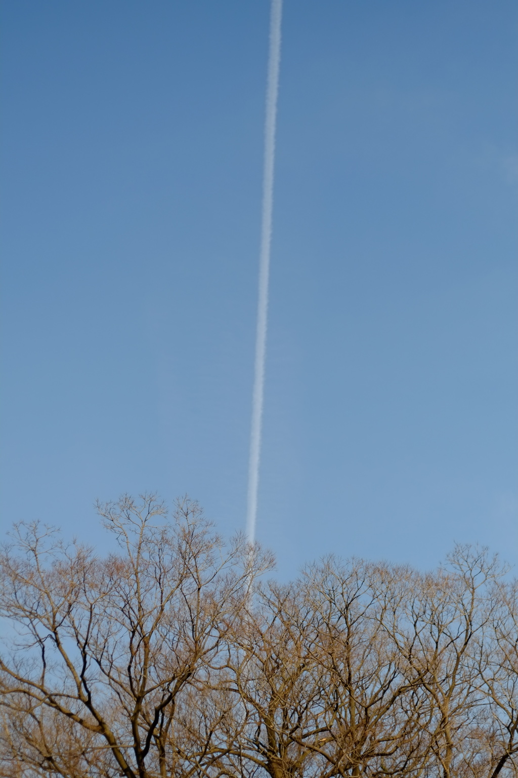 ひこうき雲