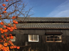 晩秋