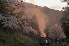 桜色の発車
