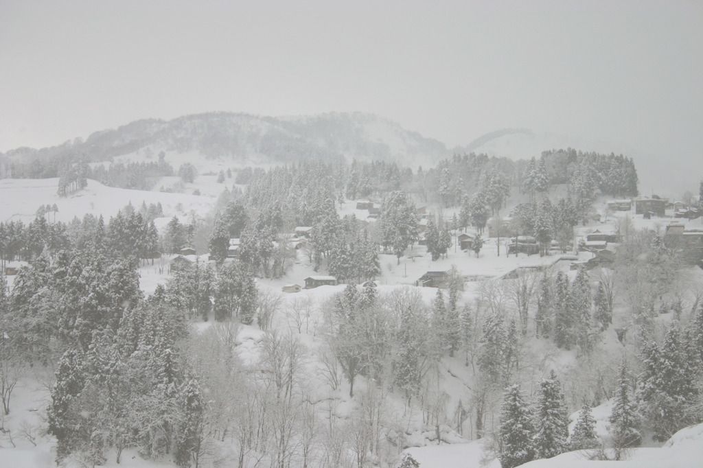 雪と暮らす