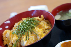 カツ丼