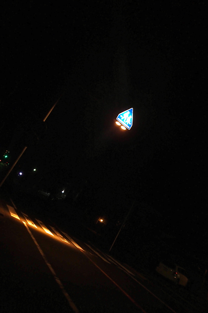 ナイトラン中