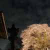 春の夜空
