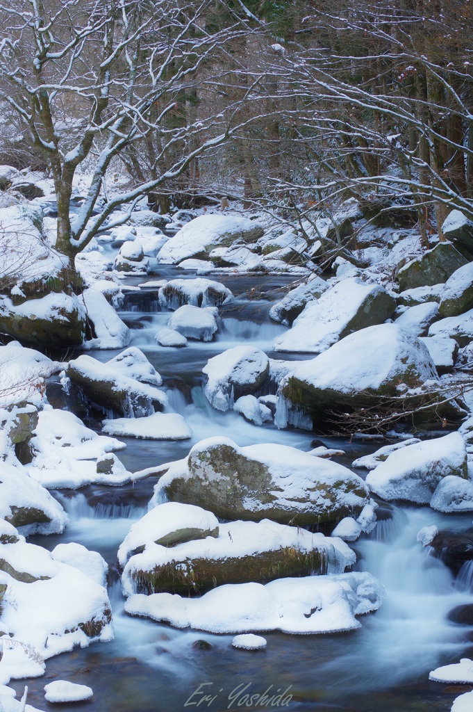 雪化粧する冬の渓谷と水の流れ  