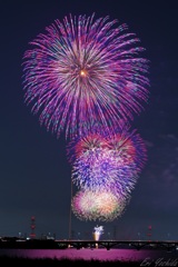 夏の夜空に咲く