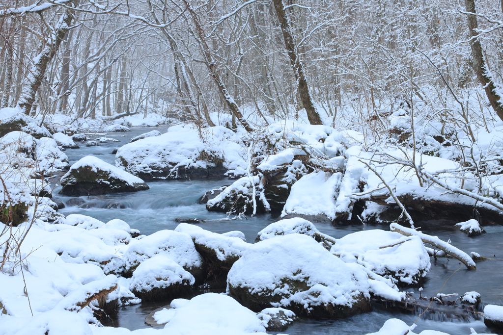 奥入瀬渓流の冬