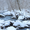 奥入瀬渓流の冬
