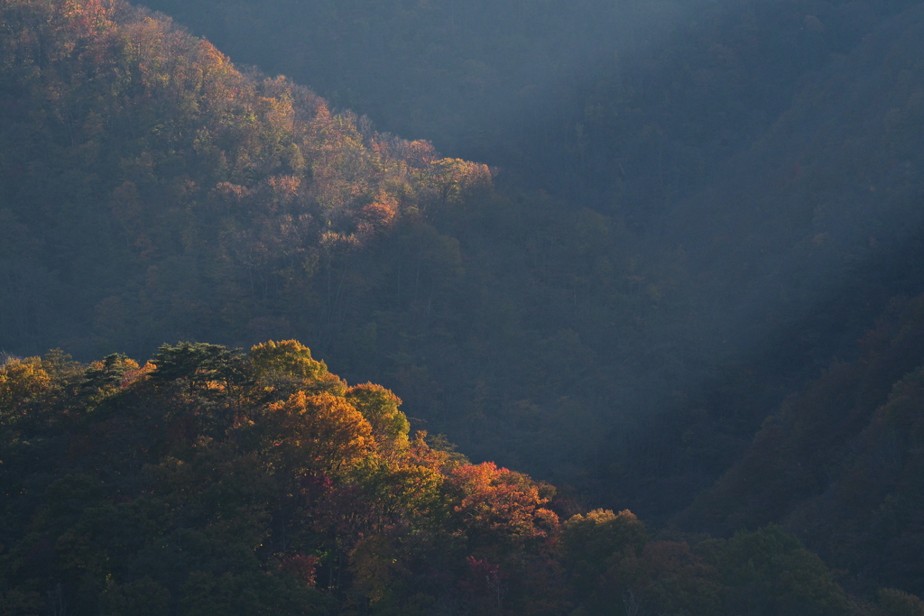 秋山に差す光