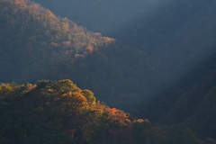 秋山に差す光