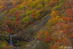 秋､深まる早朝の滝