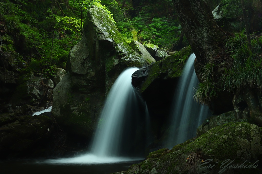 梅雨の淡い光