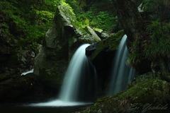 梅雨の淡い光