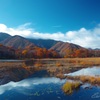 秋深まる早朝の水辺