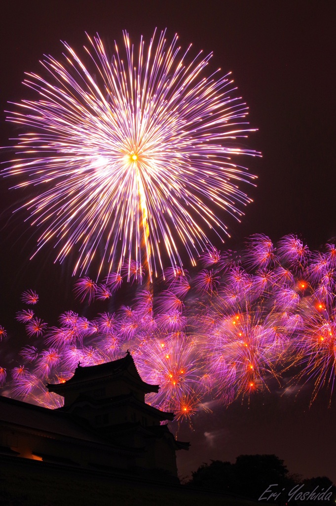 秋の夜空に咲く