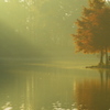 目覚める秋の水辺