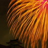 夜空彩る