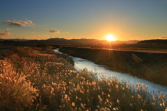冬の夕暮れ空とススキ