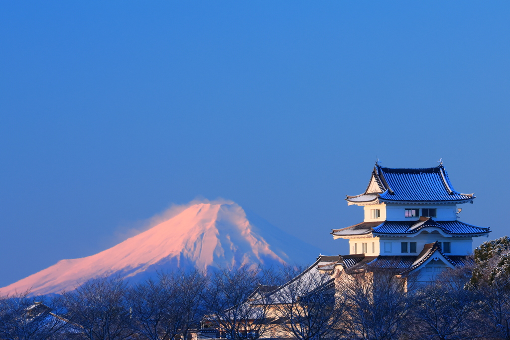 朝陽に染まるお城と富士山