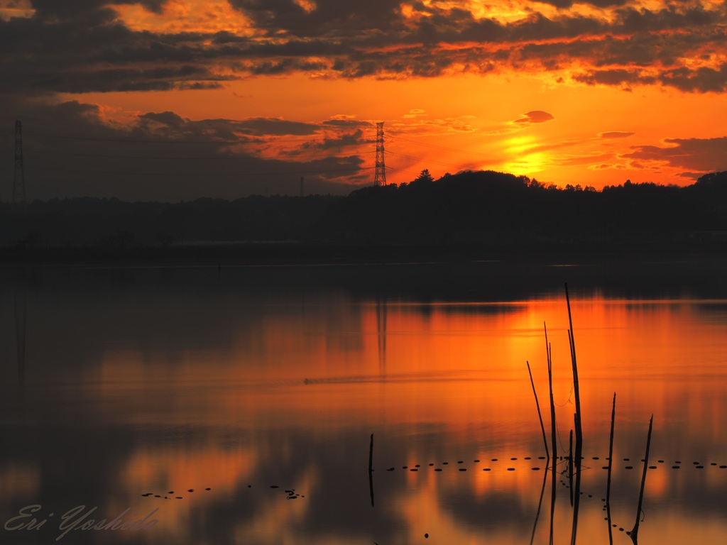 沼の夕暮れ